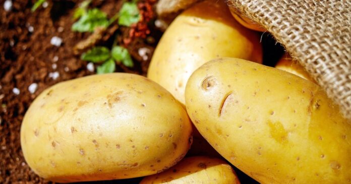 modo-de-preparo-muda-beneficios-da-batata;-veja-como-comer-da-melhor-forma