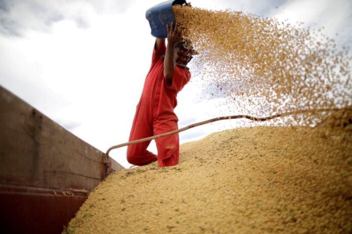 analise:-china-nao-comprou-sequer-um-grao-de-soja-dos-eua-esse-ano