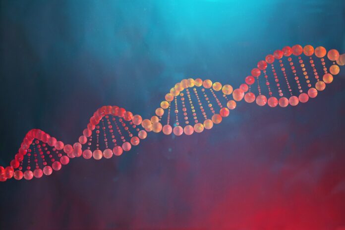 gene-causador-da-obesidade-pode-proteger-o-coracao,-aponta-estudo