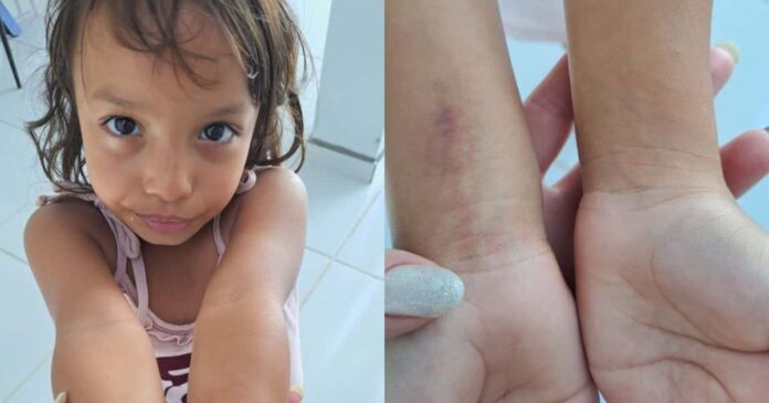 familia-denunciou-agressoes-de-padrasto-suspeito-de-enterrar-menina-em-sp
