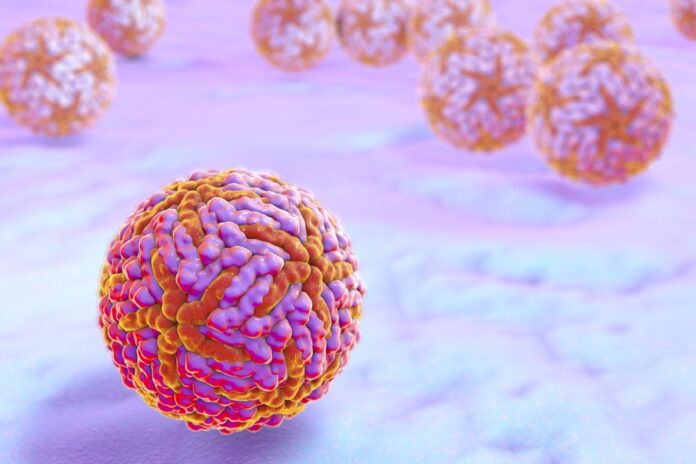 fiocruz-relata-caso-raro-de-encefalite-associada-a-infeccao-pelo-zika