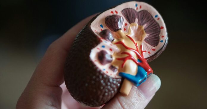 mais-de-170-mil-brasileiros-vivem-em-dialise-por-doenca-renal-cronica