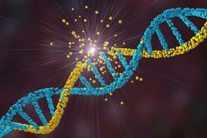 cientistas-identificam-nova-doenca-genetica-rara-que-afeta-os-musculos