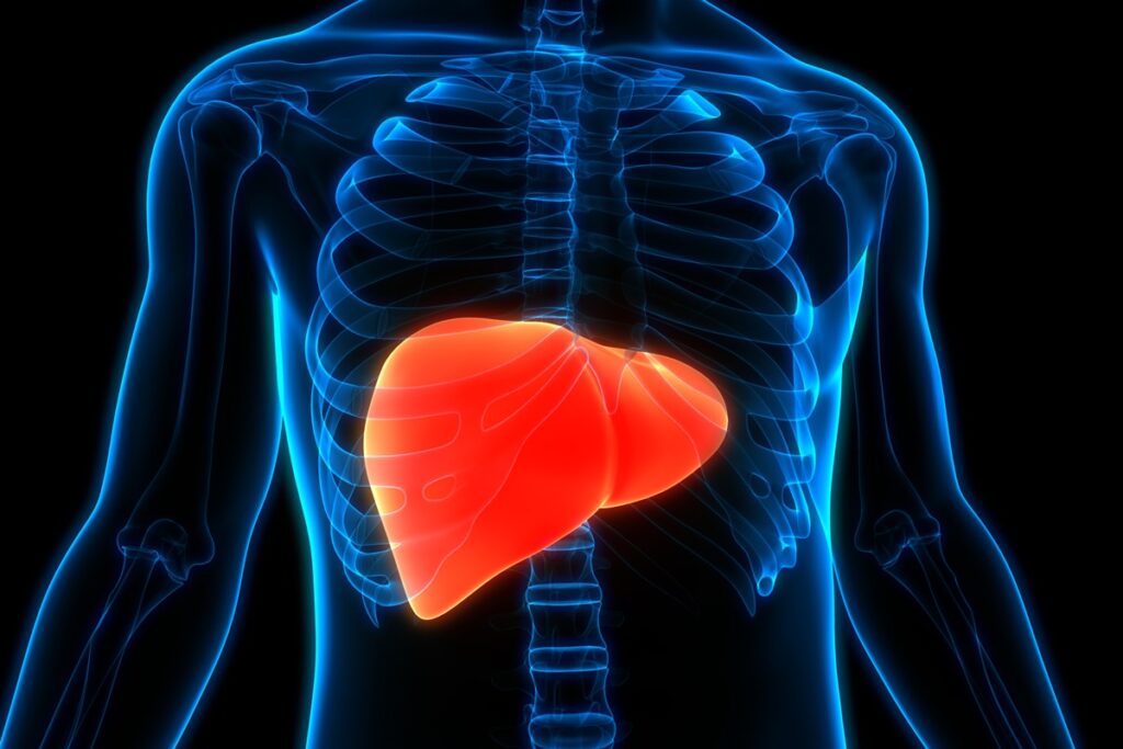 gordura-no-figado:-entenda-as-causas-da-doenca-em-pessoas-magras