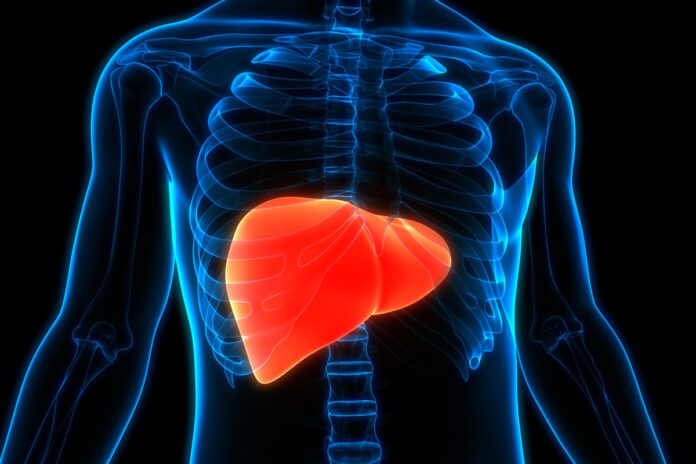 gordura-no-figado:-entenda-as-causas-da-doenca-em-pessoas-magras