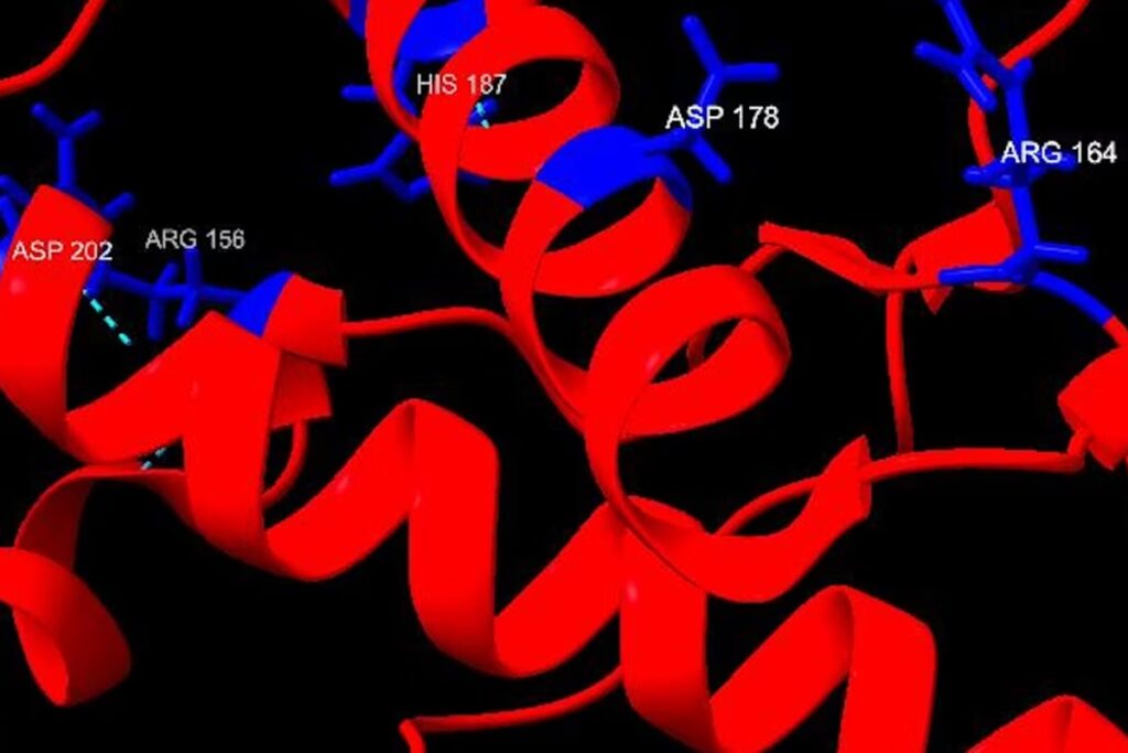 doencas-prionicas-sao-raras,-mas-devastadoras