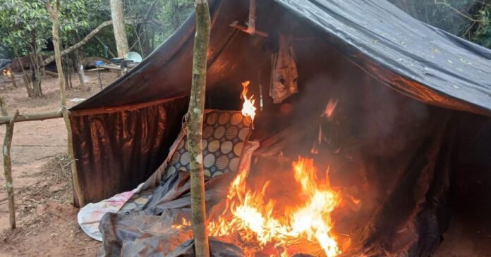 operacao-da-pf-no-paraguai-destroi-309-hectares-de-droga-e-96-acampamentos