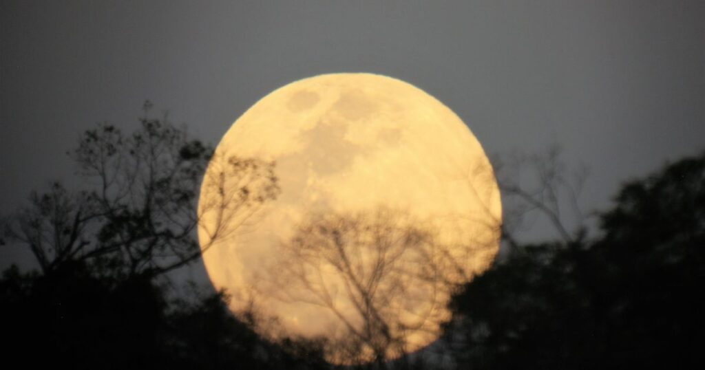 superlua-podera-ser-vista-no-brasil-nesta-quarta-(5);-saiba-o-horario