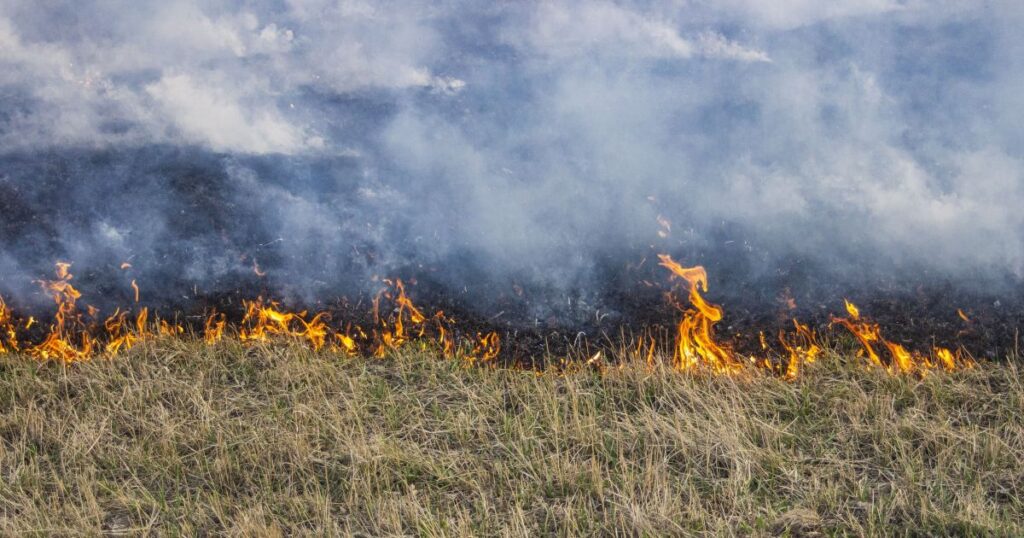 financiamento-climatico:-o-que-e,-quem-paga,-e-por-que-importa-na-cop30