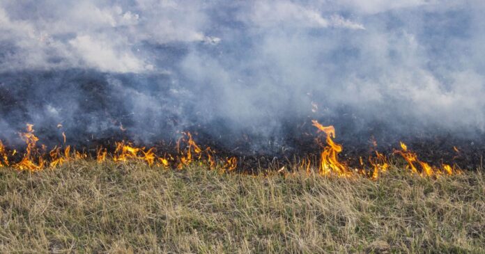 financiamento-climatico:-o-que-e,-quem-paga,-e-por-que-importa-na-cop30