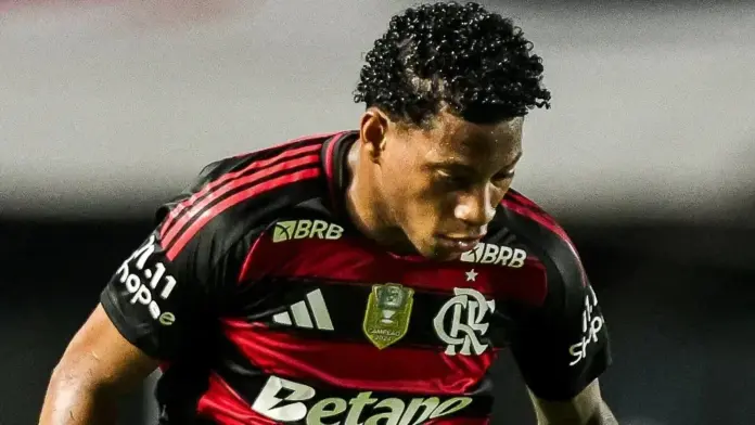 flamengo-amarga-uma-expulsao-a-cada-dois-jogos-em-periodo-recente