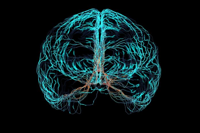 falha-em-celulas-cerebrais-pode-favorecer-demencia,-diz-estudo