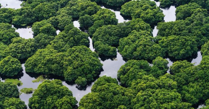 alemanha-confirma-investimento-“consideravel”-no-tfff