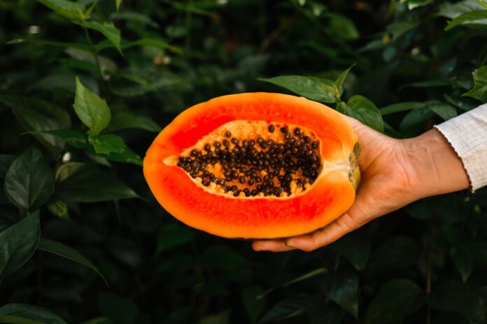 nutricionista-revela-se-e-saudavel-comer-mamao-todos-os-dias