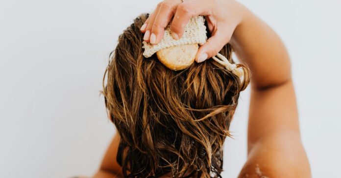 microalga-do-cerrado-inspira-avanco-ambiental-na-ciencia-dos-cabelos