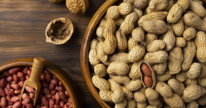 amendoim:-de-vilao-a-aliado-para-quem-quer-ganhar-musculos