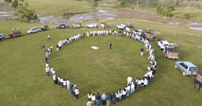 delegado-de-queda-de-balao-em-sc-e-demitido;-policia-nega-relacao-com-caso