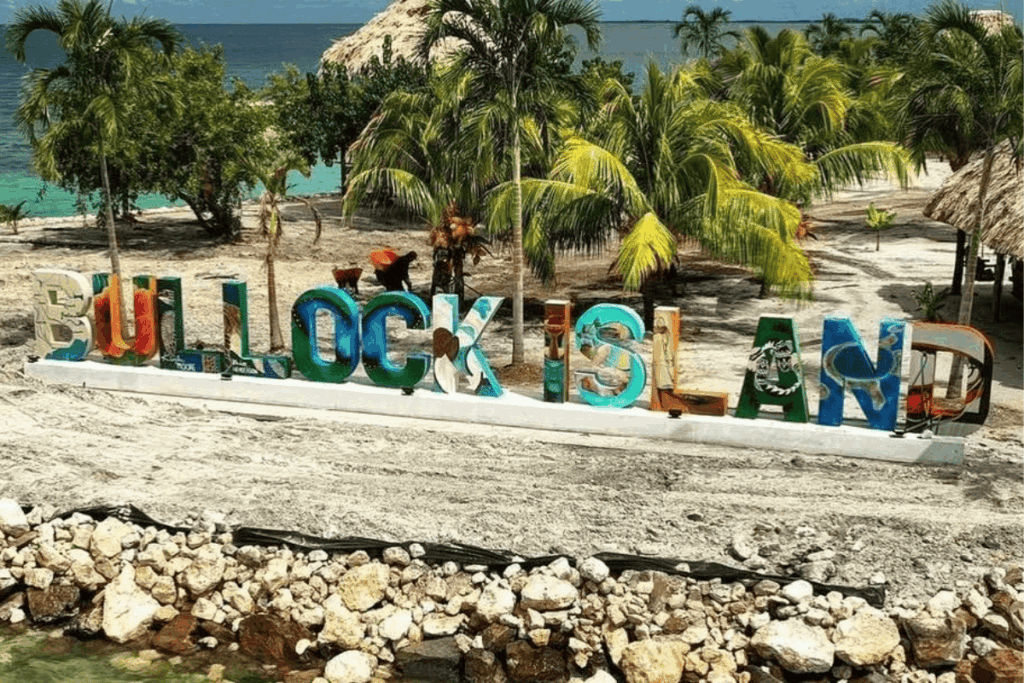 ex-jogador-da-nba-constroi-resort-de-luxo-em-ilha-no-caribe;-veja