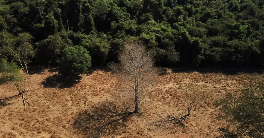 na-cop30,-brasil-lanca-plano-de-adaptacao-climatica-para-area-da-saude