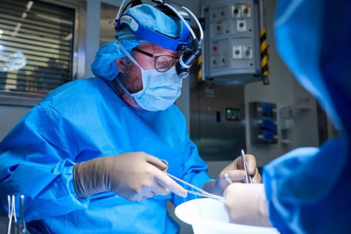 transplantes:-medicos-acham-meio-para-burlar-rejeicao-a-rim-de-porco