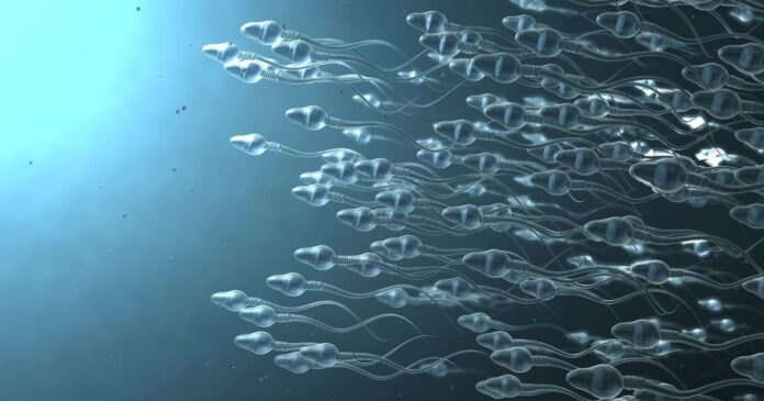 pesquisa-mapeia-virus-no-semen-capazes-de-transmitir-doencas
