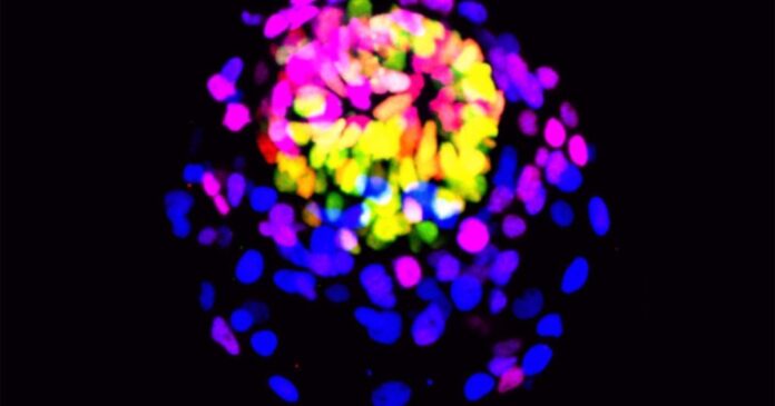 enem-2025:-2o-dia-tem-vacinas,-energia-eletrica-e-polemica-das-autoescolas