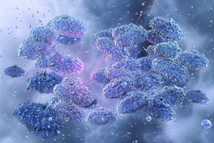 doencas-da-idade-media-continuam-a-circular-e-fazer-vitimas