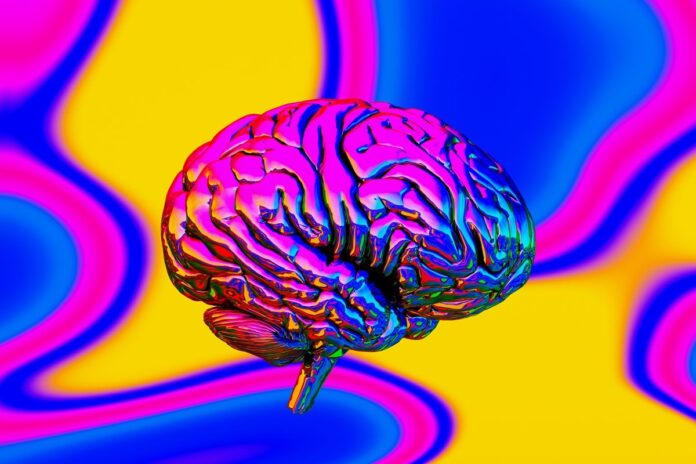 3-bebidas-que-melhoram-a-saude-do-cerebro-e-a-memoria,-segundo-medico