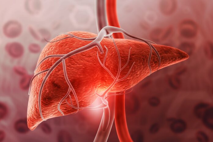 gordura-no-figado:-saiba-em-quanto-tempo-e-possivel-reverter-o-quadro