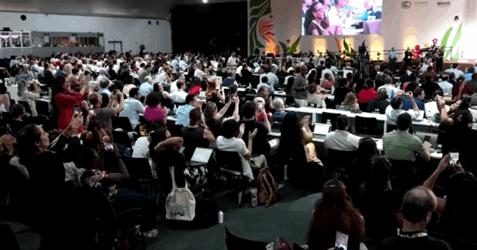 aplaudida-de-pe,-marina-silva-se-emociona-em-plenaria-no-fim-da-cop30