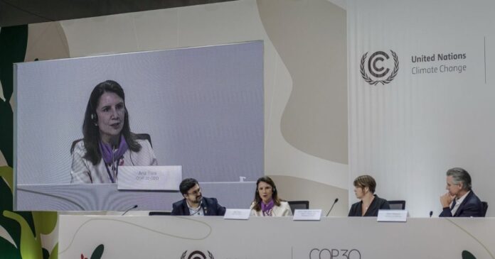 ceo-da-cop30:-sem-consenso-sobre-combustiveis-fosseis-nao-teve-o-que-fazer