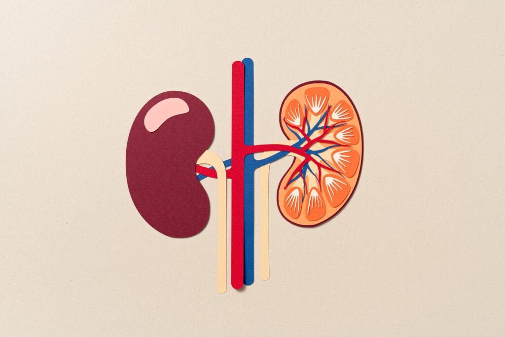 confira-5-habitos-que-sobrecarregam-os-rins,-segundo-especialistas