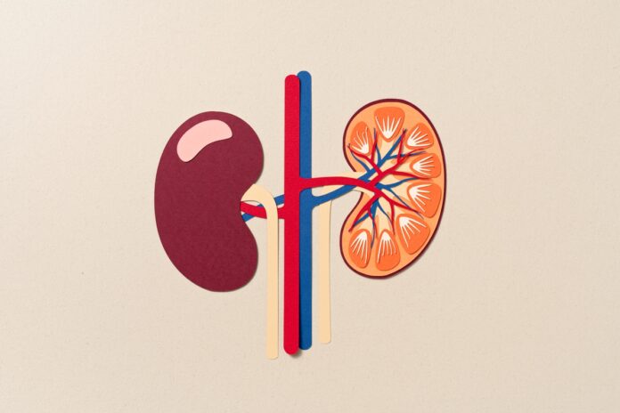 confira-5-habitos-que-sobrecarregam-os-rins,-segundo-especialistas