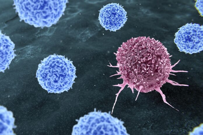 estudo-revela-por-que-alguns-tumores-de-mama-resistem-ao-tratamento