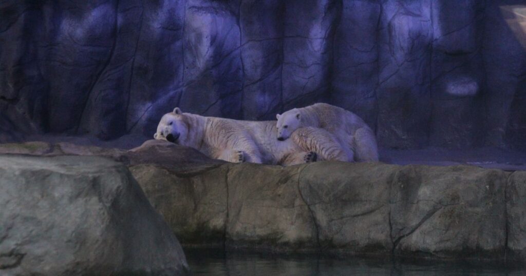 parques-de-sp-alertam-para-golpes-virtuais-em-vendas-de-ingressos