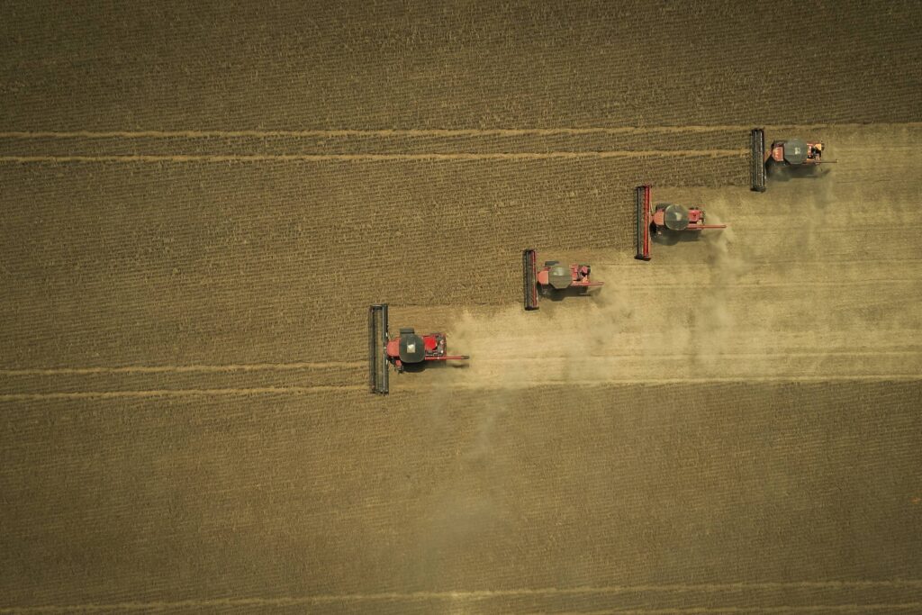 ibge:-agricultura-reduz-2,3-milhoes-de-empregados-de-2012-a-2024