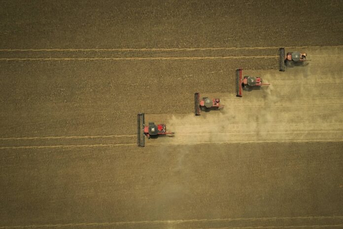 ibge:-agricultura-reduz-2,3-milhoes-de-empregados-de-2012-a-2024