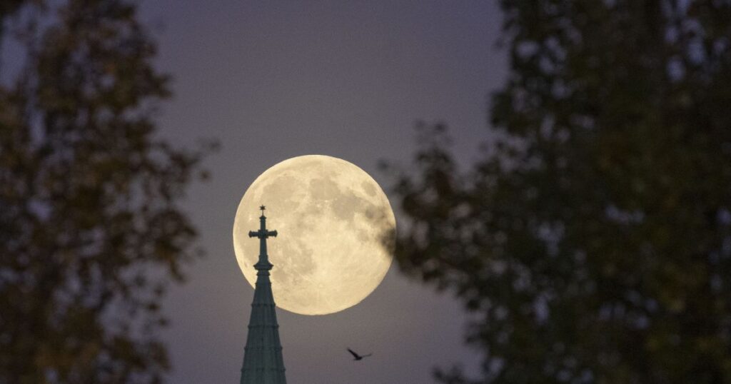 duas-chuvas-de-meteoro-e-superlua:-veja-destaques-do-ceu-de-dezembro
