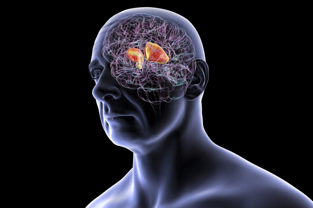 cardiologista-indica-principais-sintomas-de-avc-e-como-reduzir-o-risco