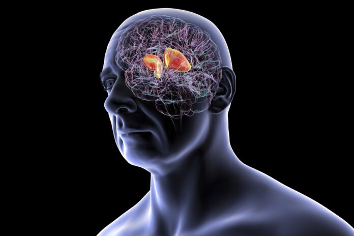 cardiologista-indica-principais-sintomas-de-avc-e-como-reduzir-o-risco
