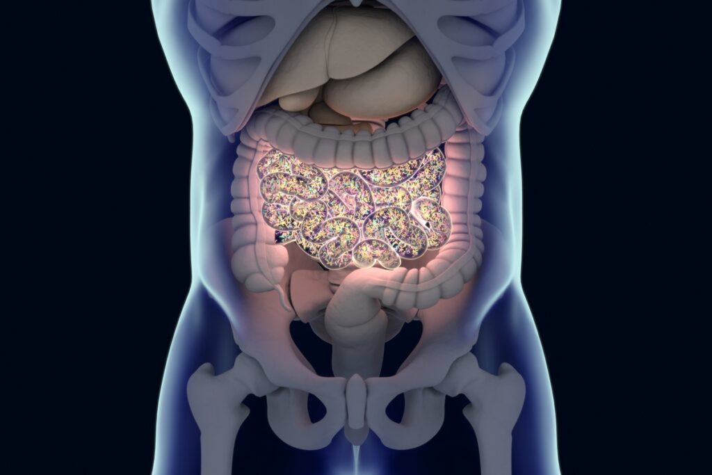substancias-quimicas-comuns-podem-afetar-seu-intestino,-sugere-estudo