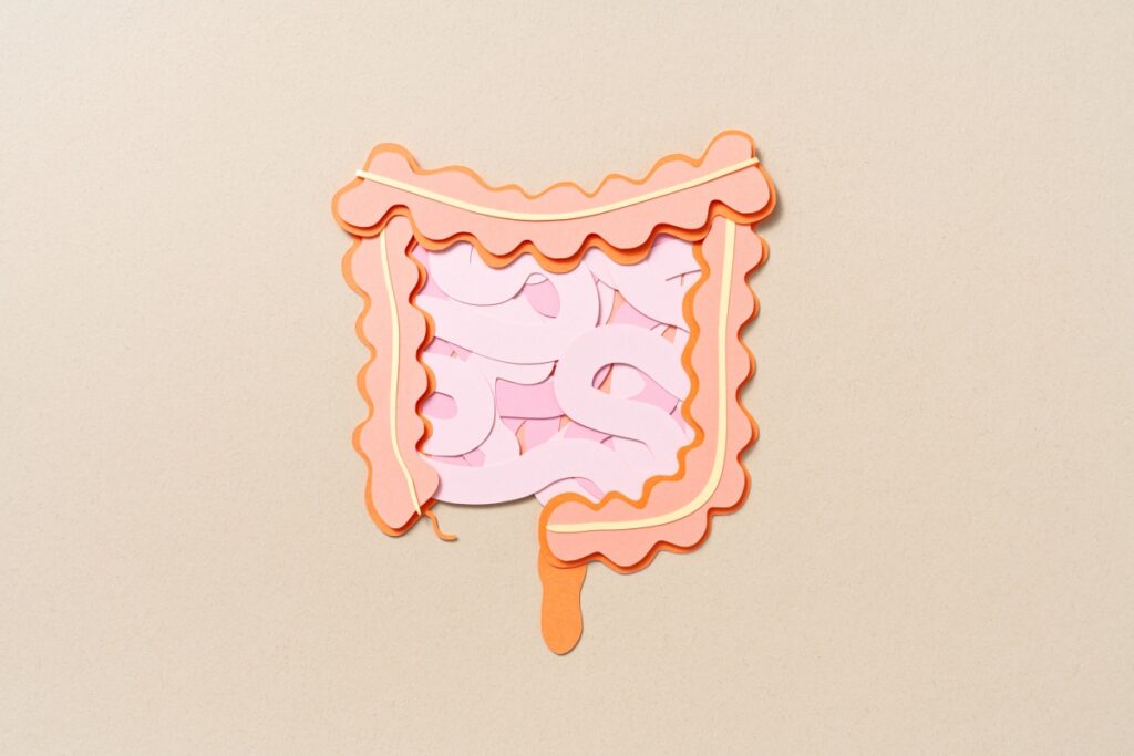 entenda-como-os-habitos-modernos-prejudicam-a-saude-do-seu-intestino