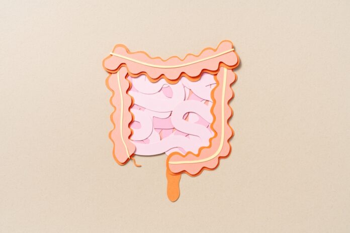 entenda-como-os-habitos-modernos-prejudicam-a-saude-do-seu-intestino