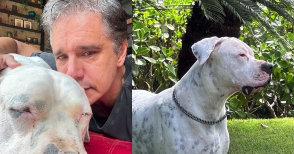 marcio-garcia-chora-ao-anunciar-morte-do-caozinho-da-familia;-veja-video