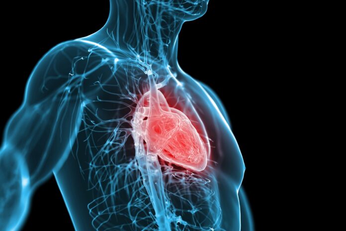 cardiologista-aponta-sintomas-que-podem-indicar-problema-no-coracao