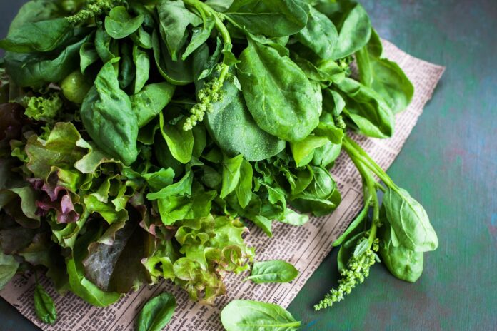 nutricionistas-listam-8-vegetais-que-podem-ajudar-a-regular-a-glicose