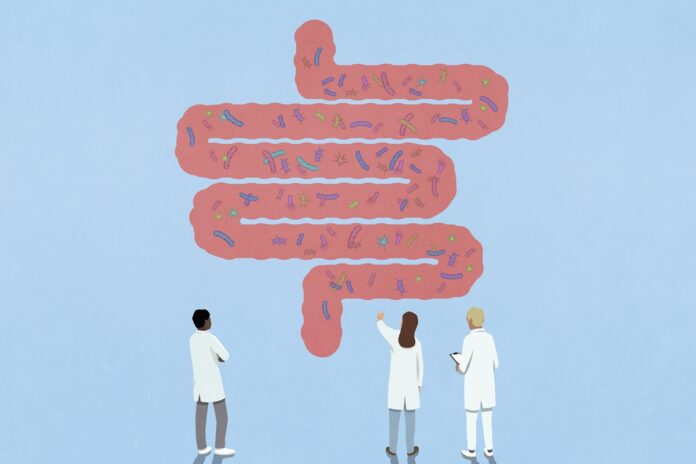 cientistas-criam-ranking-de-bacterias-intestinais-que-ajudam-a-saude
