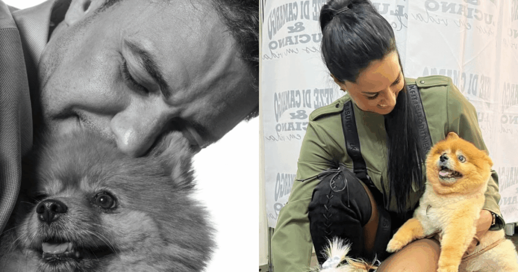 zeze-e-graciele-lamentam-morte-de-cachorrinha:-“coracao-despedacado”