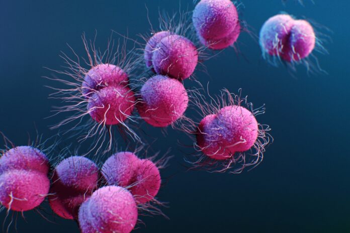 preocupacao-com-gonorreia-resistente-cresce-e-novos-remedios-avancam