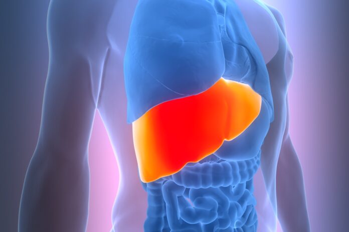 gordura-no-figado:-principais-sintomas-que-indicam-a-doenca-silenciosa